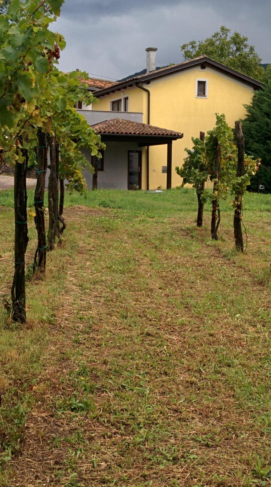 Small House In Vipava Valley 외부 사진