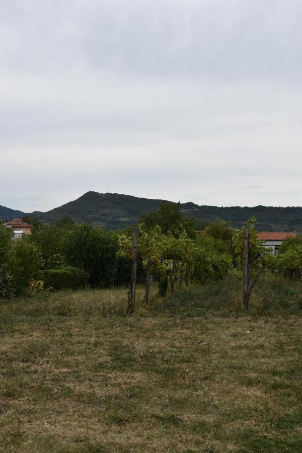 Small House In Vipava Valley 외부 사진